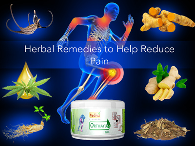 Herbal Remedies to reduce pain