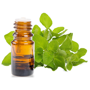 Marjoram Oil