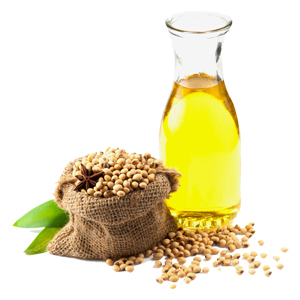 Soybean Oil